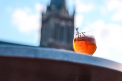 Dungens_Bierfestival_2025-247